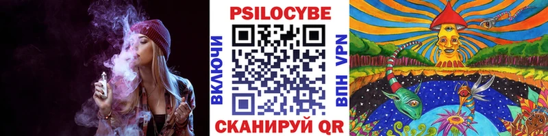 Купить где  Чехов  Псилоцибиновые грибы Psilocybine cubensis 